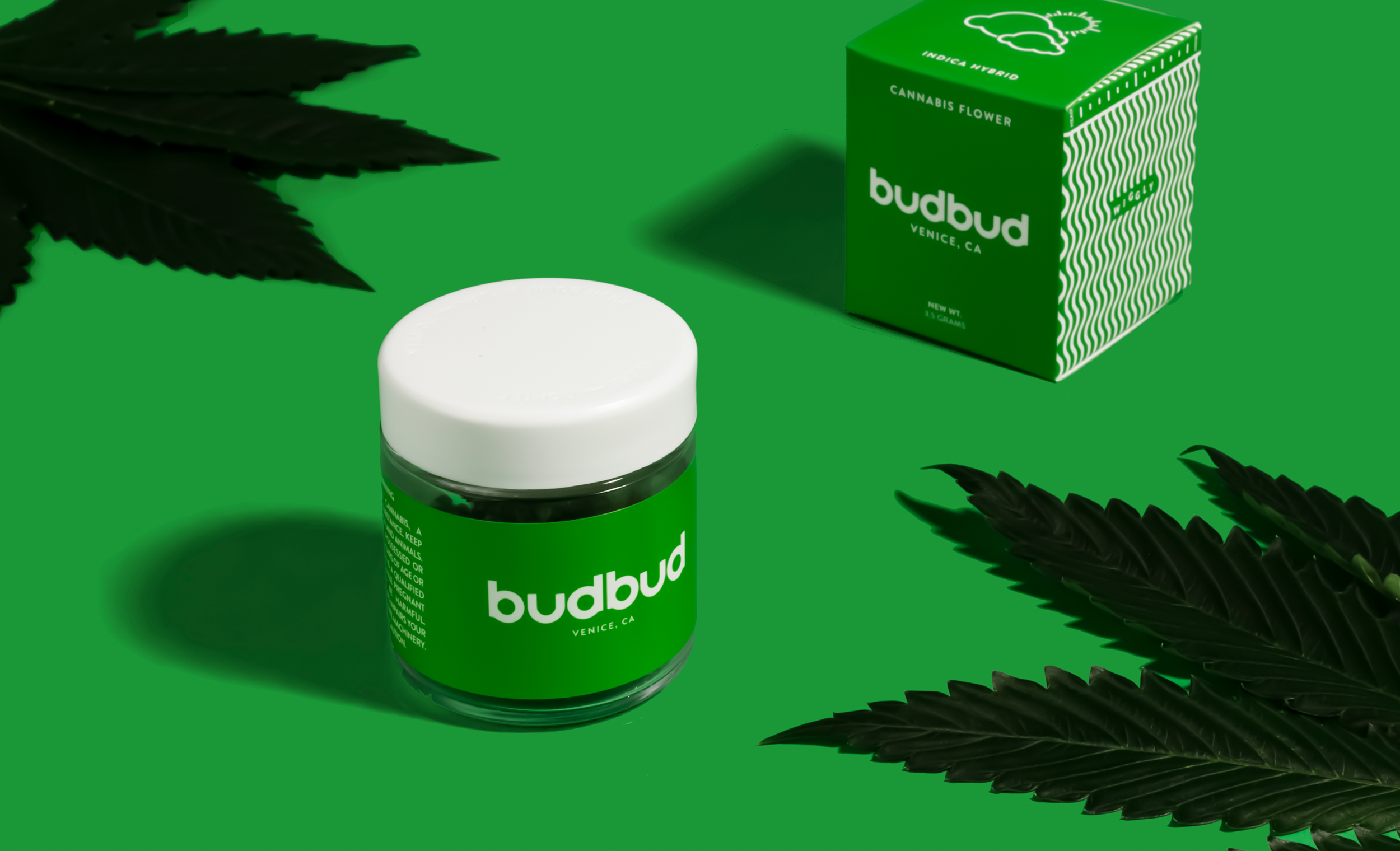 BUDBUD_JAR_GreenSolo