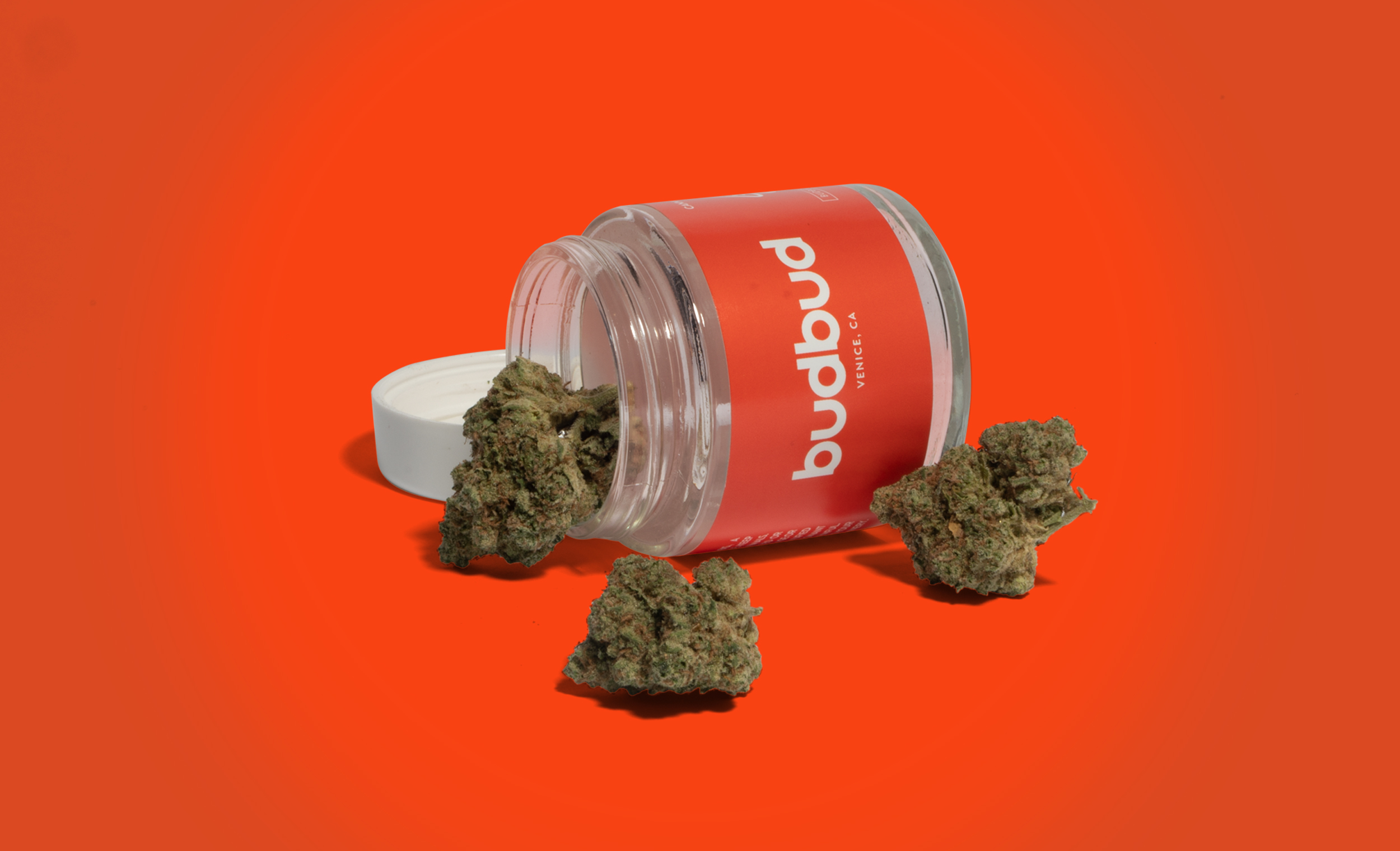 BUDBUD_Jar_RedSolo