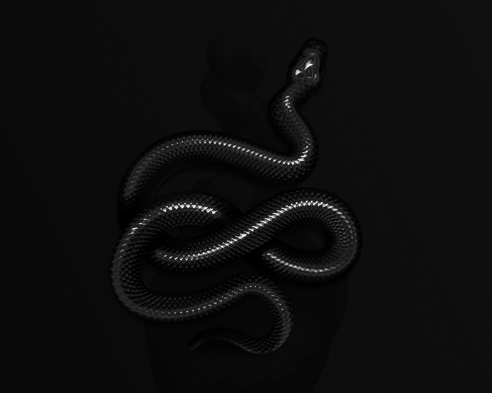 Snake